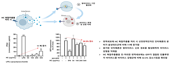 한국한의학연구원에서 실시한 항바이러스 효력시험과 면역작용시험. [사진=에이치씨바이오텍]
