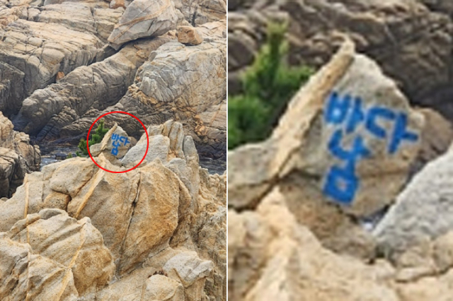 지난 1월 3일 대왕암공원 내 암석에 파란색 스프레이로 '바다남'이라고 쓰인 글씨가 발견됐다. 울산 동구청 제공