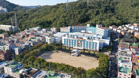 IB 또 대박났다… 대구외고 첫 IB DP 이수자 호주 그리피스大 합격