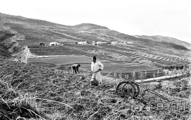 1965년 2월 12일자 매일신문에 