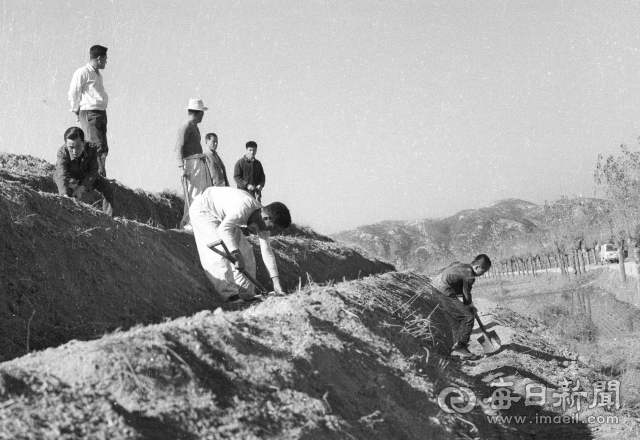 1965년 2월 청송군 진보면 이촌리 주민들이 산 58-11 일대를 다단계식 농지로 개간해 봄 농사를 준비하고 있다. 사진=매일아카이빙센터