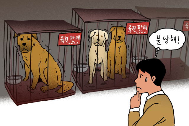 박순석