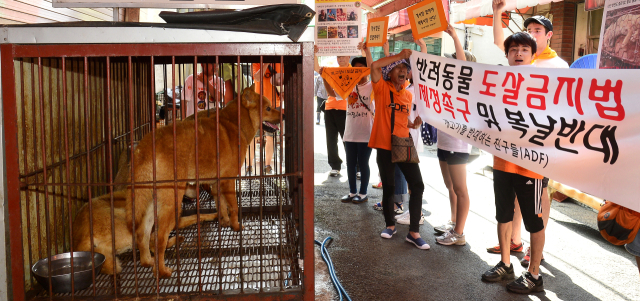 대구 칠성시장에서 동물자유연대와 동물행동권 카라 소속 회원들이 '개 식용 철폐 전국 대집회'를 열고 있다.매일신문 DB