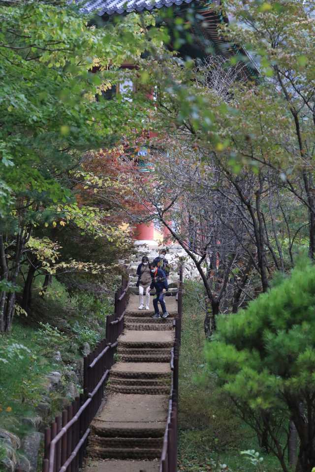 선재길.강원일보 제공