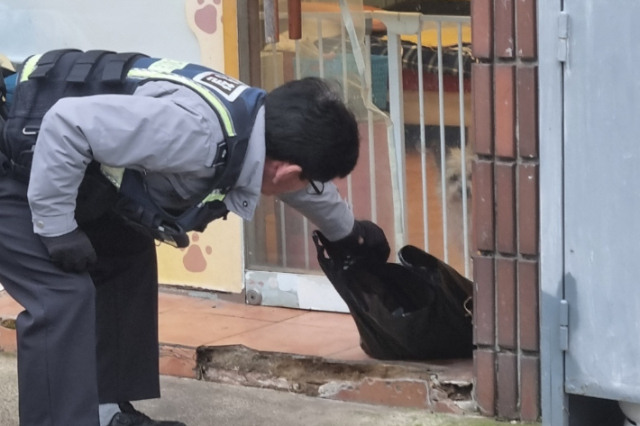 경찰이 반려동물 가게 앞에 놓인 검은색 비닐봉투를 확인하고 있다. 독자 제공
