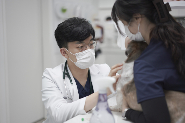 대구 바른동물의료센터 이세원 원장이 강아지를 진료하고 있다. 대구 바른동물의료센터 제공.