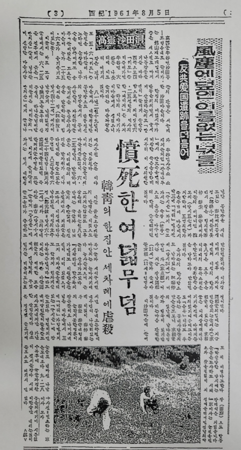 1961년 8월 5일 매일신문 〈분사한 여덟무덤…한청의 한집안 세차례에 학살〉 기사 사본