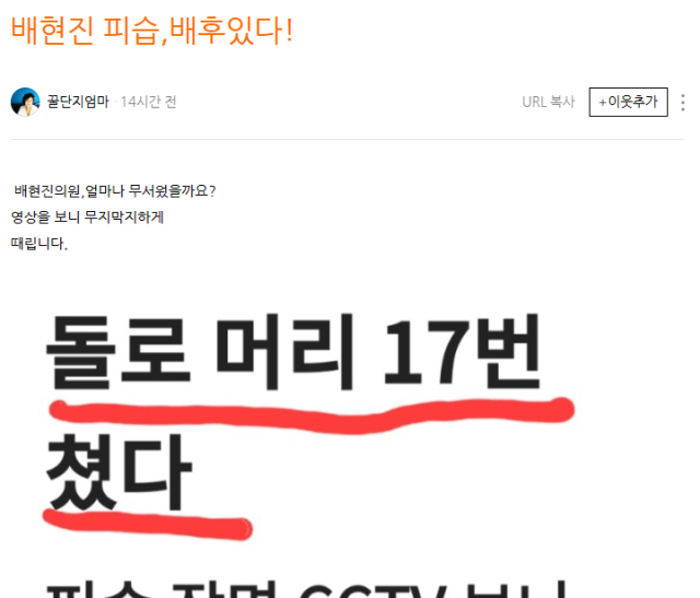 전여옥 전 의원 블로그 캡처