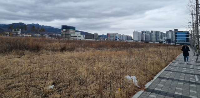 이케아가 입점계획으로 취소하면서 미개발 상태로 남은 안심뉴타운 유통상업지구에 잡초가 무성한 모습. 김유진 수습기자