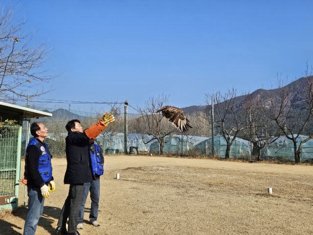 한국조류보호협회 밀양시지회와 환경관리과 관계자가 매 자연방사를 하고 있는 모습. 한국조류협회 밀양시 제공