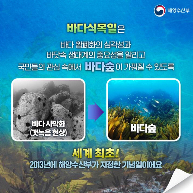 제12회 바다식목일 홍보 포스터. 해양수산부 제공