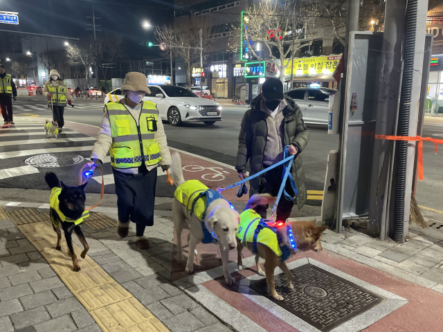 기자는 지난 24일 반려견 순찰대 9마리와 함께 오후 8시부터 40분가량 남구 일대를 돌았다. 대구 남구 청년센터 반려견 순찰대는 이날 첫 합동 순찰을 실시했다. 해당 순찰대는 대구에서 최초로 결성됐다.