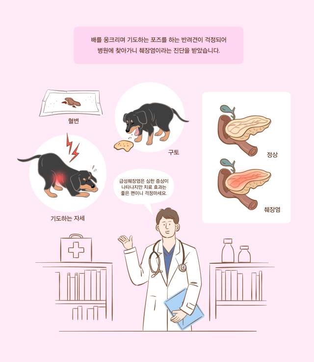 반려동물 췌장염 증상. 클립아트코리아 이미지