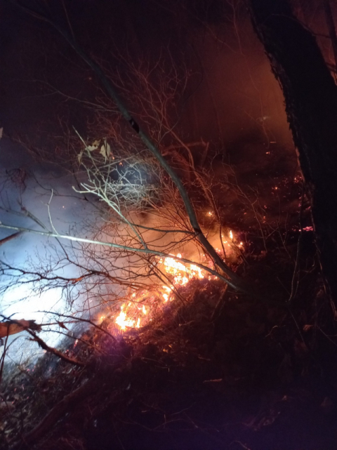 대구 앞산에서 산불, 임야 300여㎡ 태우고 꺼져