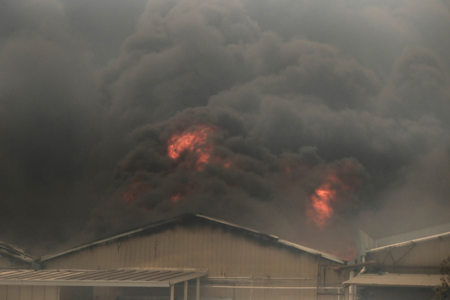 최근 칠레에서 산불이 확산되고 있다. 이번 산불로 최소 46명이 숨진 것으로 알려졌다. 3일(현지시간) 발파라이소주 민가로 덮친 산불 모습. 연합뉴스