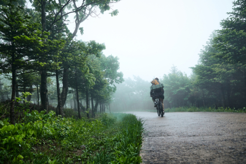 속리산 등산객 20m 아래로 추락사…