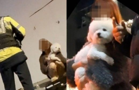 배달원 사망케 한 '벤츠 음주운전 DJ', 옥중 사과에도 엄벌탄원 1천명 참여