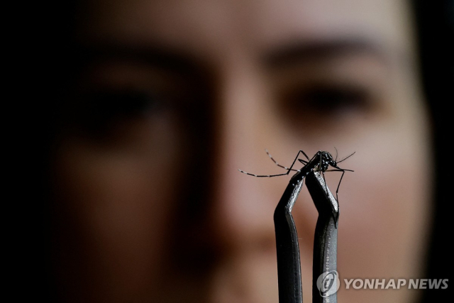 동남아 뎅기열 환자 급증[로이터 연합뉴스 자료사진]