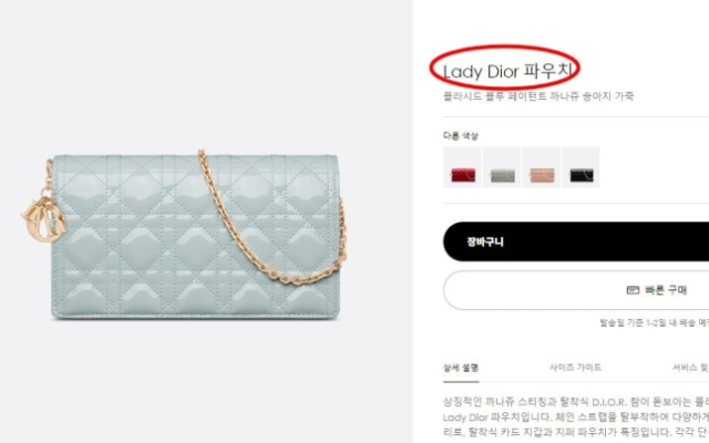레이디 디올 파우치. 디올 홈페이지