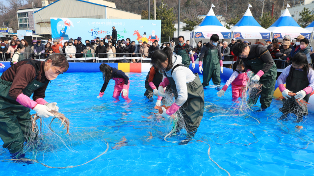 22~25일까지 울진 후포항 일원에서 2024 울진대게와 붉은대게 축제가 열린다. 사진은 지난해 축제 모습. 울진군 제공