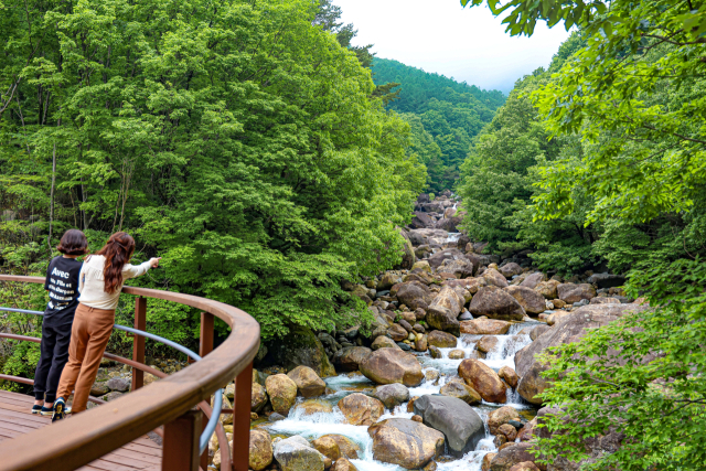 지리산 중산리 두류생태탐방로