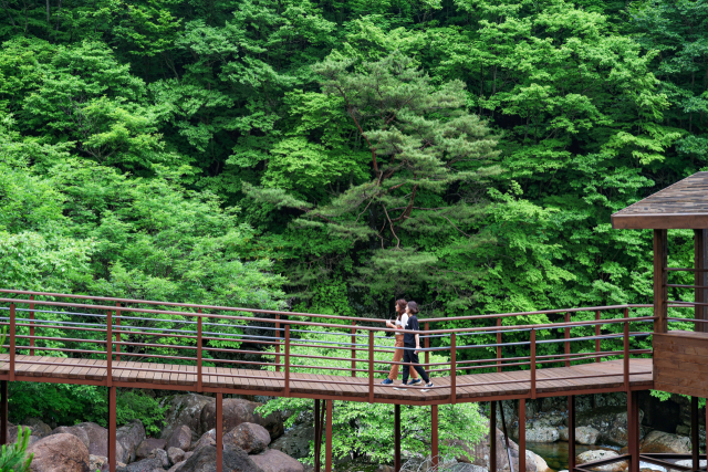 지리산 중산리 두류생태탐방로