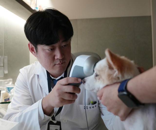 대구 범어동물의료센터 신현준 원장이 강아지를 진료하고 있다. 대구범어동물의료센터 제공