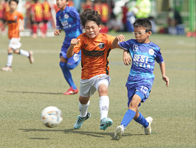 지난 상주컵 전국유소년클럽 축구 페스티벌의 한 경기 장면. 고도현 기자