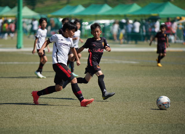 지난 상주컵 전국유소년클럽 축구 페스티벌의 한 경기 장면. 고도현 기자