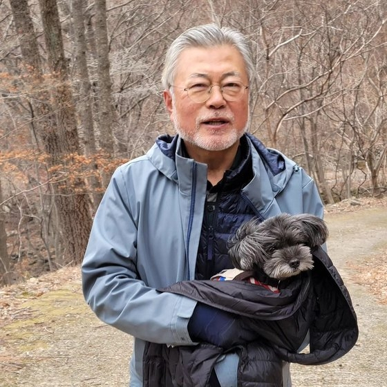 문재인 전 대통령과 세상을 떠난 반려견 토리. 문재인 전 대통령 페이스북 갈무리
