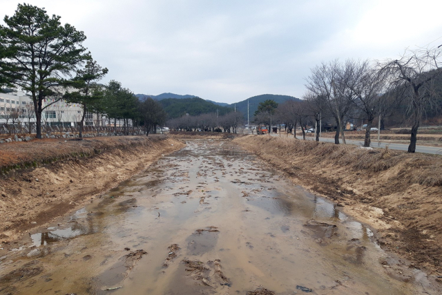 안동시가 소하천 정비사업으로 재해 예방과 지역 건설경기 부양에 나서고 있다. 안동시 제공