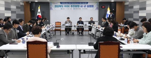 16일 경북도청 화랑실에서 열린 경북도 RISE 추진 방향 시·군 설명회 모습. 경북도 제공