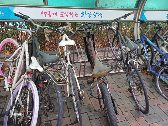 15일 대구 달서구의 한 자전거 보관대에 놓인 녹슨 자전거 위로 먼지가 두껍게 쌓여있다. 이정훈 수습기자
