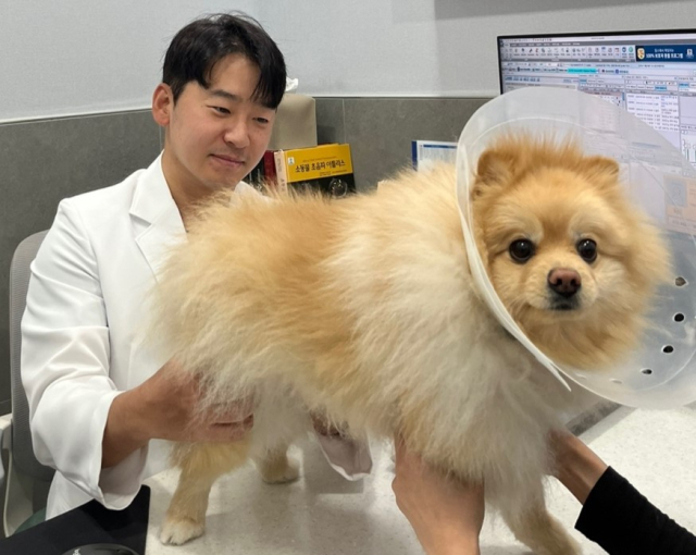 대구 바른동물의료센터 이정석 원장이 강아지를 진료하고 있다.