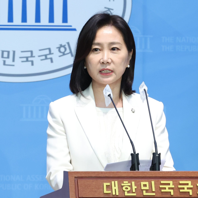 허은아 개혁신당 수석대변인. 페이스북 갈무리