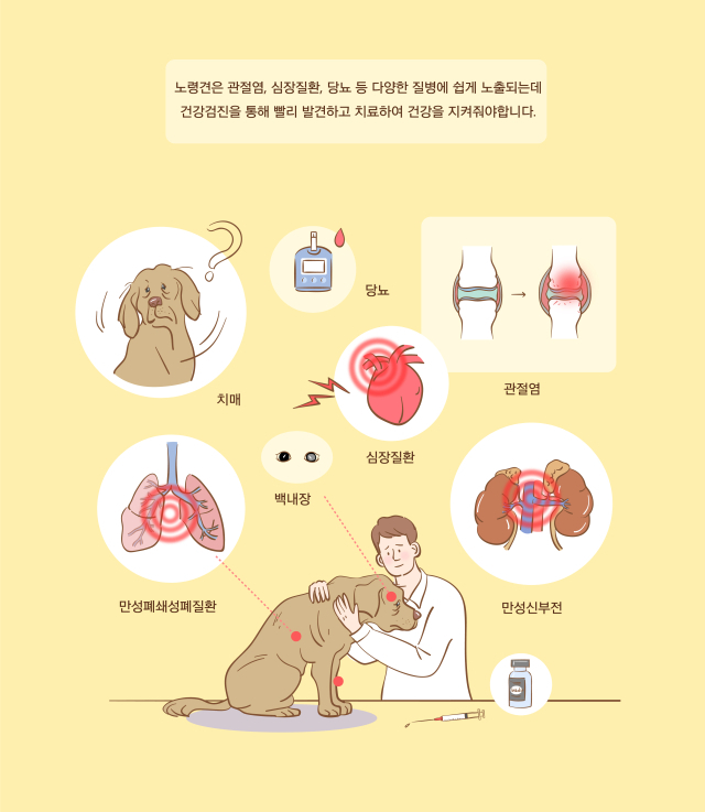 반려견이 나이가 들면 취약해 지는 질환들. 이미지 클립아트코리아