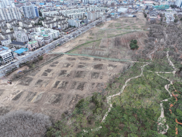 지장물을 철거한 황성공원 부지 모습. 경주시 제공