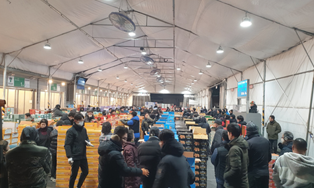 대구농수산물유통관리공사는 블라인드 경매를 도입한다고 3일 밝혔다. 사진은 블라인드 경매가 진행 중인 도매시장 모습. 대구시 제공