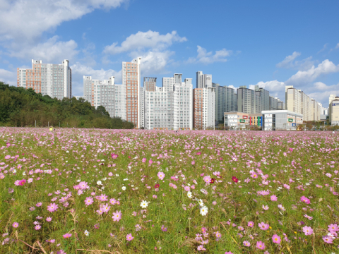 신생아 가구에 공공임대 최우선 공급…세대원수별 면적기준 폐지