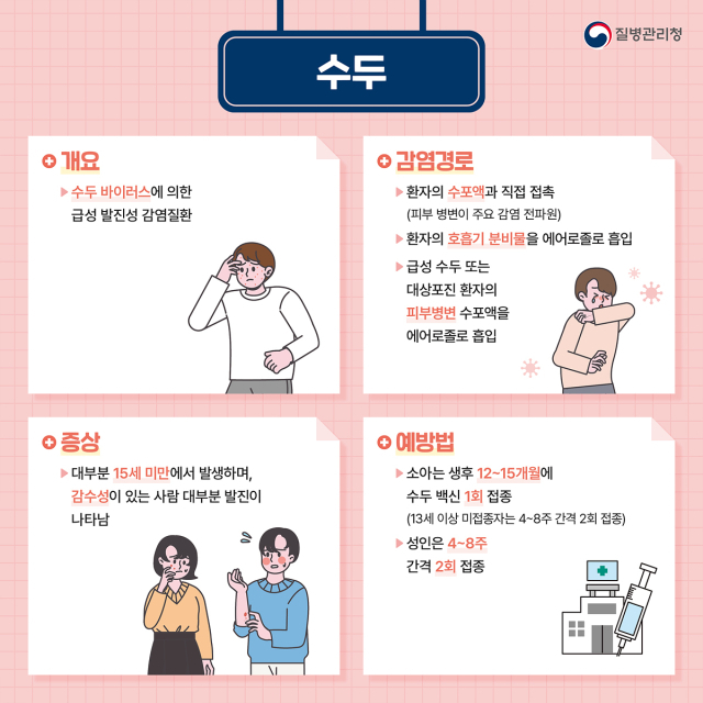 질병관리청이 안내하는 수두 관련 개요. 대구시 제공.
