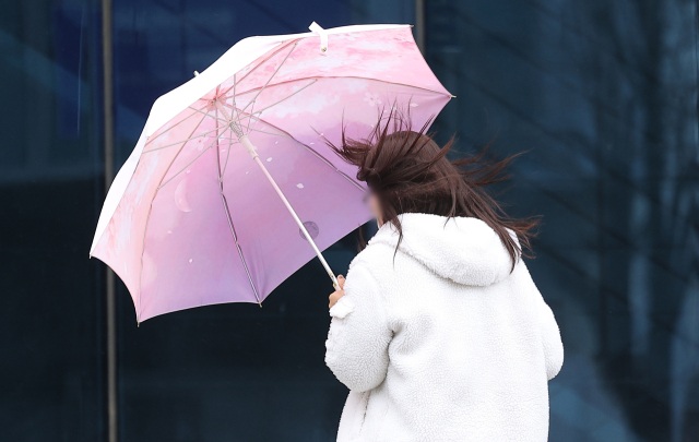 “우산 챙기세요” 당분간 비 소식…대구경북 낮 최고 19도