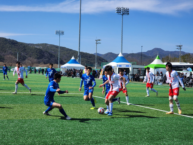 경남 합천군 전국규모 축구대회 지역경제활성화 톡톡