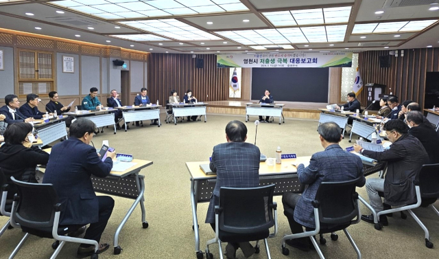 15일 열린 영천시 저출생 극복 대응 보고회 모습. 영천시 제공