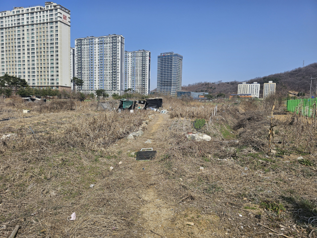 [대구경북 혁신도시 10년] 김천 산학연 클러스터 41% 미분양…사업 추진도 '하세월'