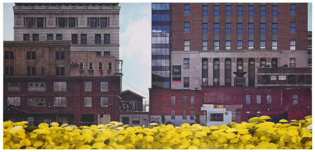 장우진, 볼티모어의 비 내리는 오후 (a Rainy Afternoon in Baltimore), 2024, 피그먼트 프린트 및 석판화, 47.5x100cm