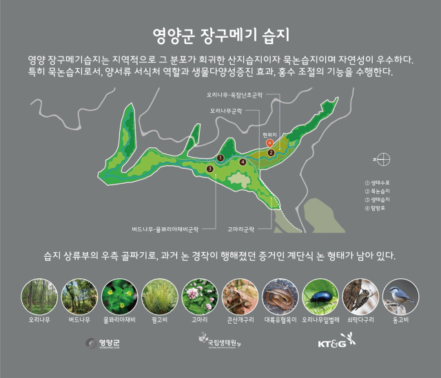 경북 영양군 석보면 포산리에 있는 장구메기습지는 고지대에 자연적으로 조성된 희귀한 산지습지다. 사진은 습지 소개도 모습. 영양군 제공