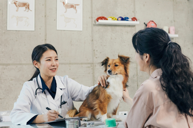 반려인들의 애정이 깊어질 수록 반려동물을 위해 제일 잘 치료해 줄 수의사와 동물병원을 찾는다. 특정 진료과목만을 전문적으로 진료하는 동물병원들이 속속 등장한다.