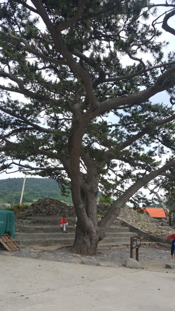 박태진 시인의 