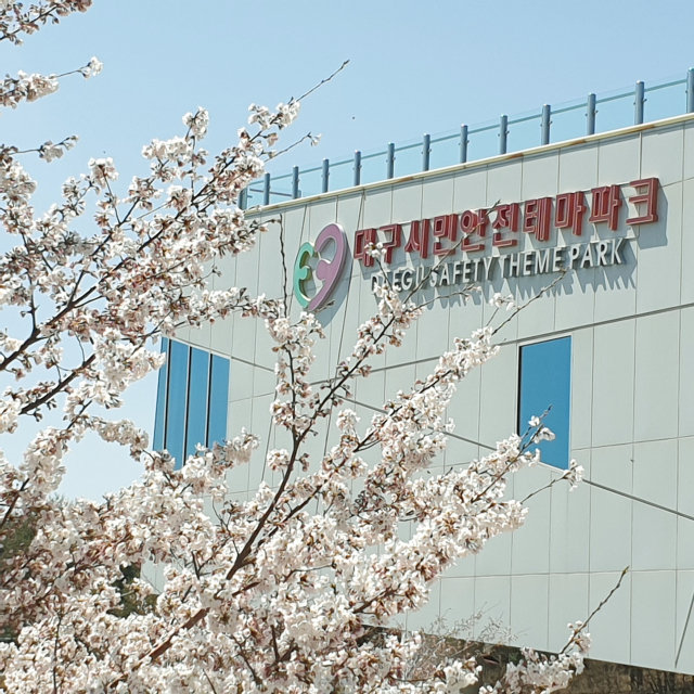 대구시민안전테마파크, 벚꽃행사 '시안테 벚꽃이 피나봄'개최