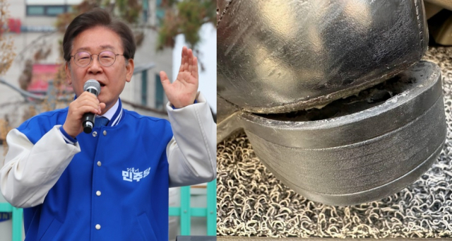 이재명 더불어민주당 대표